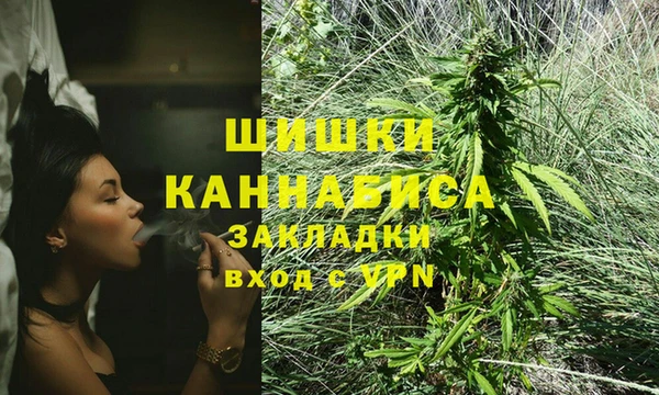 spice Богородск