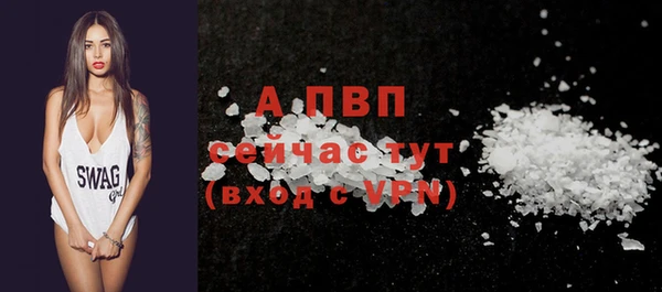 прущие грибы Богородицк