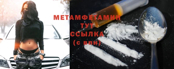 прущие грибы Богородицк