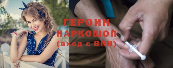 spice Богородск