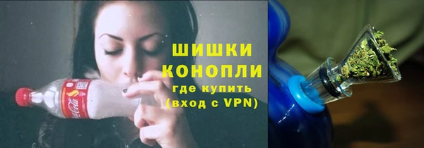 spice Богородск