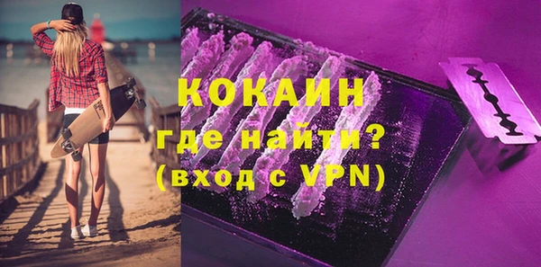прущие грибы Богородицк