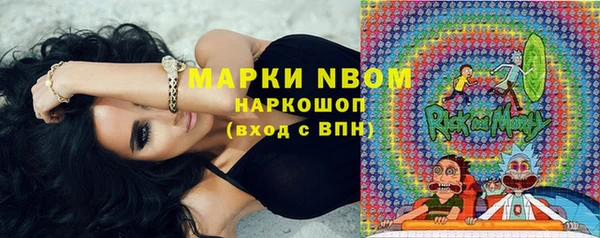 spice Богородск