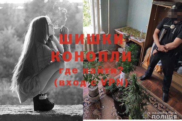 трава Богданович
