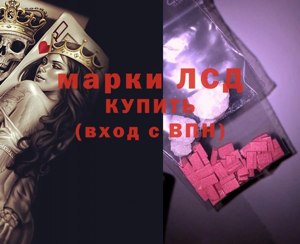 прущие грибы Богородицк
