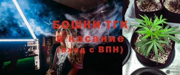 spice Богородск
