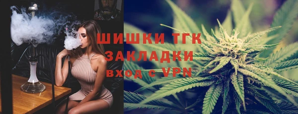 прущие грибы Богородицк