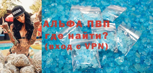 прущие грибы Богородицк