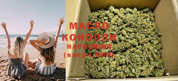 spice Богородск