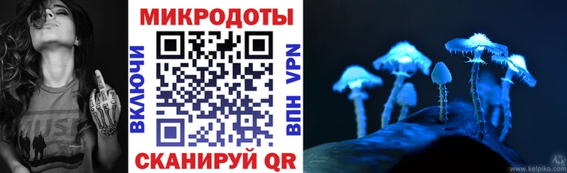 Купить  Гусь-Хрустальный  Псилоцибиновые грибы MAGIC MUSHROOMS 